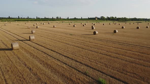 Hay bales in Friuli Venezia Giulia, Italy