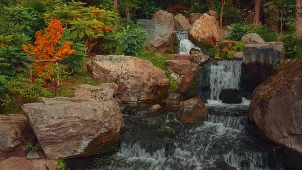 Closeup shot of an exquisite lush Japanese garden with a waterfall in early autumn