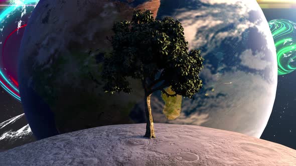 Tree on the Moon