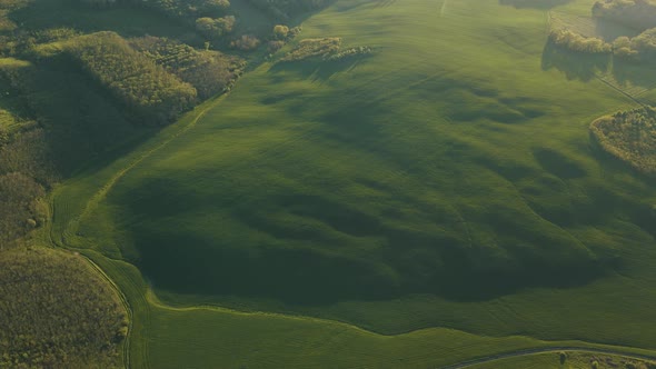 Aerial View of the Rural Landscape with Green Fields and Forests at Sunrise