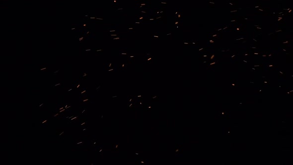 Flying Embers On Black alt