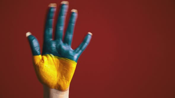 Palm of the Girl with the Flag of Ukraine Welcomes and Symbolizes the World