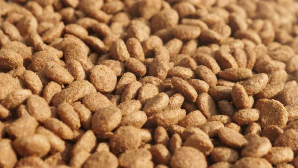 Shallow DOF heap of dry  pet pellets   4K 2160p 30fps UltraHD panning  footage - Extruded cat or dog