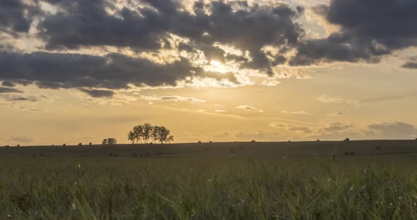 Flat Hill Meadow Timelapse at the Summer Sunset Time. Wild Nature and Rural Field. Sun Rays, Trees