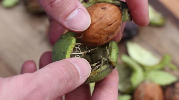 Peeling Fresh Walnuts