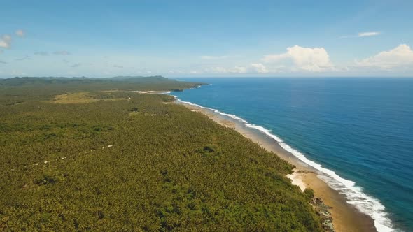 Coast of Tropical Island.