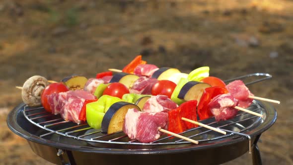 Assorted Meat From Chicken, Pork and Various Vegetables for Barbecue on Grill