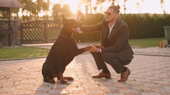 A Rich Businessman in a Business Suit Walks with a Big Doberman in the Park. A Successful Bearded