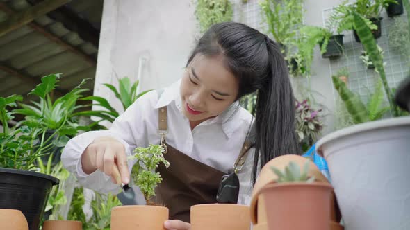 Happy Asian young woman planting tree for sale, using a shovel to plant a tree in a flowerpot