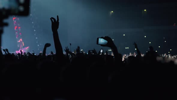 Crowd of Young Music Fans Dancing at the Concert