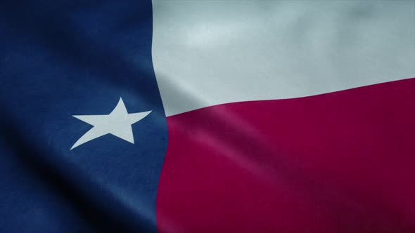 State Flag of Texas Waving in the Wind