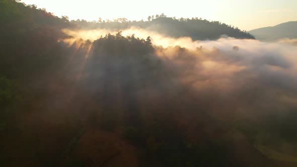 The rays of the sun shine through the clouds into the misty above the mountains in the morning