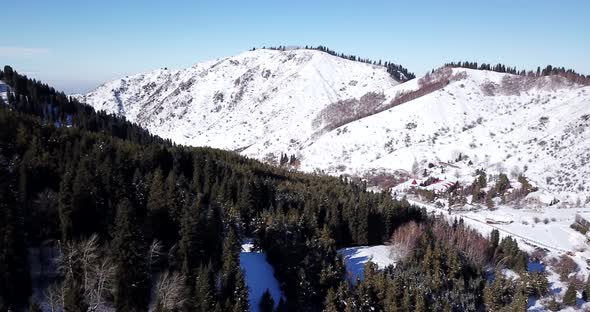 Winter Forest High in the Mountains