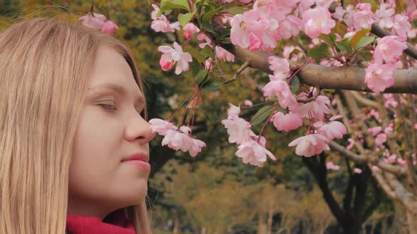 Closeup Shot of Attractive Girl Sniffs Pink Blossoms Woman Enjoys Smell of Blossoming Cherry Flower