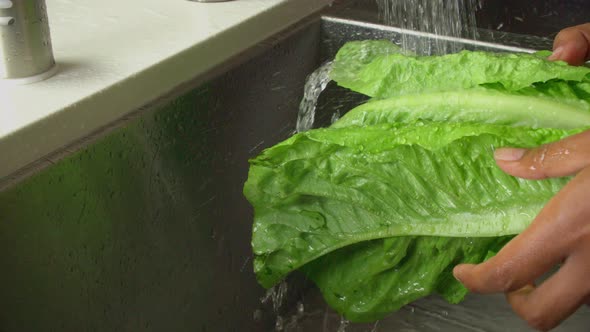 Washing Lettuce Slow Motion