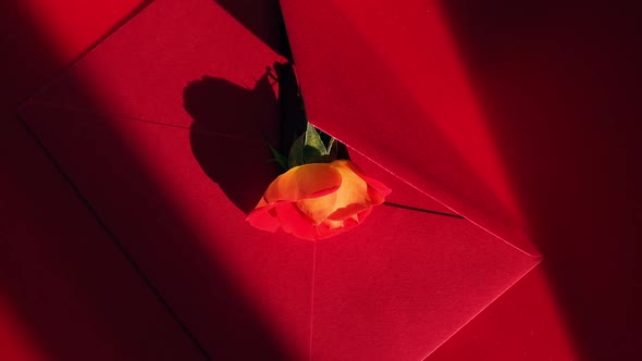 Bouquet of Red Roses Decorated in Paper Envelope on Beige Background