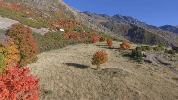 A drone captures aerial footage of an alpine meadow in the fall as tree leaves change color into bri