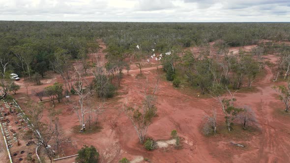 Aerial view of Australian birds flying above a small mining town in the opal capital of the world Li