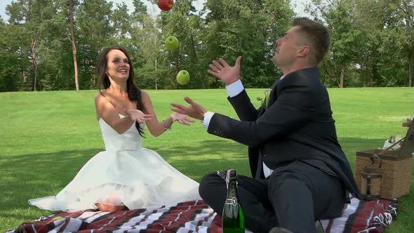 Picnic of a Wedding Couple.