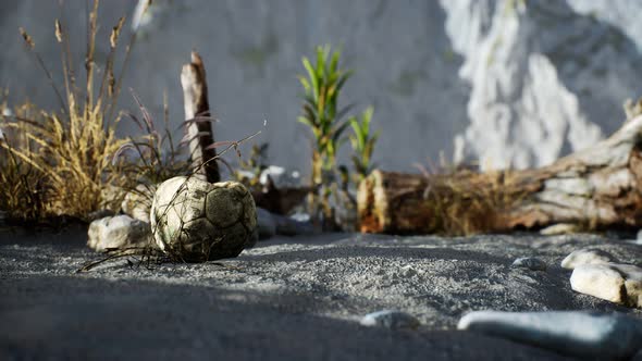 An Old Torn Soccer Ball Thrown Lies on Sand of Sea Beach alt