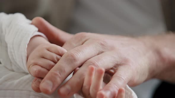 Closeup of Baby Little Cute Hand Reaching Touching Male Hand Father
