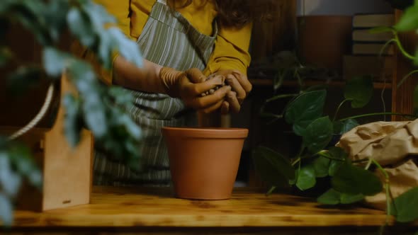 Woman Transplants Houseplant Into Ceramic Pot