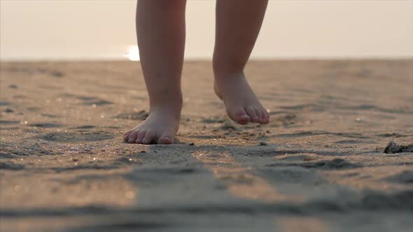 Silhouette of Children's Feet Walking on Wet Sand in Along a Tropical Beach on a Tropical Ocean