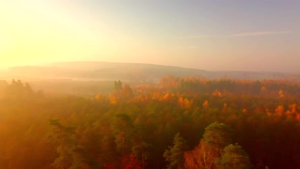 AERIAL with Beautiful Autumnal Forest and Countryside at Foggy Morning
