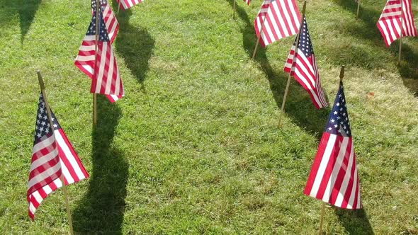 Rows of USA flags on the green lawn. 4th July celebration, memorial day. High angle view