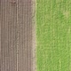 Drone View Tho Half Field  Green and Brown - VideoHive Item for Sale