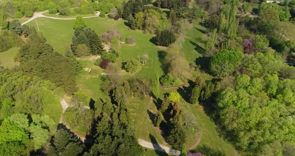 Aerial view of city park, garden. Summer in town, green trees.