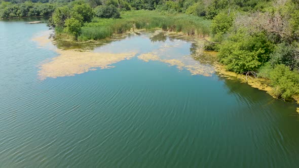 low forward drone flight over a small lake in forest 4k