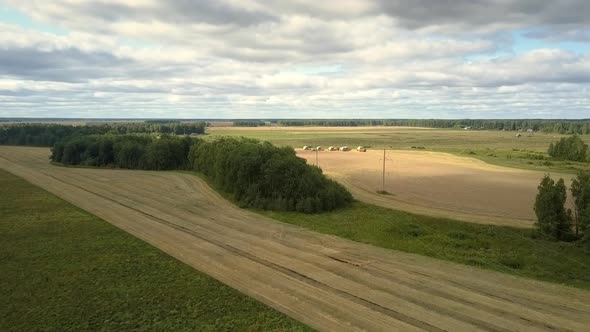 Aerial Motion Harvesters Stand on Wheat Field Under Blue Sky