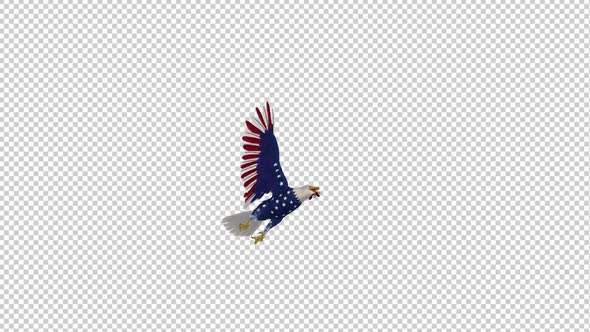 American Eagle - USA Flag - Flying Loop - Down Angle II