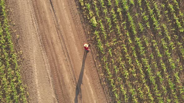 Smart Farming