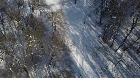 Aerial view of a drone flying over the winter park.