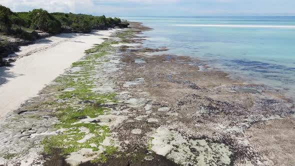 Ocean Low Tide Near the Coast of Zanzibar Island Tanzania