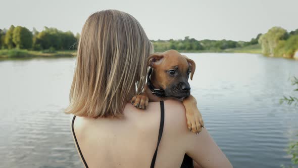 Portrait of Cute Small German Boxer Puppy in Nature Near the Lake Woman Holds Dog on Arms