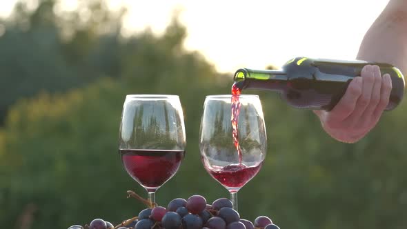 Pouring red wine in glass at slow motion