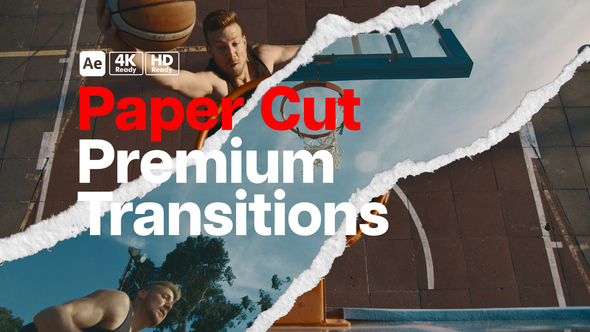 Premium Transitions Paper Cut
