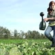 Young woman watering crops in field with watering can - VideoHive Item for Sale
