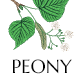 Peony - Organic Tea and Herbal Shop WordPress Theme - ThemeForest Item for Sale