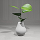 Decorative Plants - 3DOcean Item for Sale