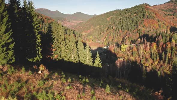 Closeup Autumn Mountain Forest Aerial