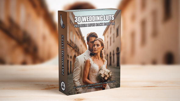 Top 30 Professional Cinematic Wedding LUTs For Wedding Filmmakers - Part 14