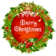For Christmas