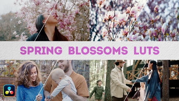 Spring Blossoms LUTs | DaVinci Resolve