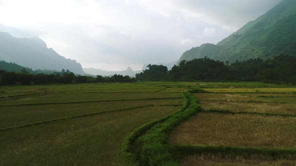 Rice fields near town of Vang Vieng in Laos seen from the sky