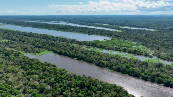 Stunning landscape of Amazon Forest at Amazonas State Brazil.