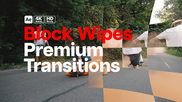 Premium Transitions Block Wipes alt